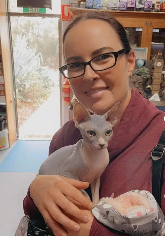 sphynx-cat-for-sale-texas