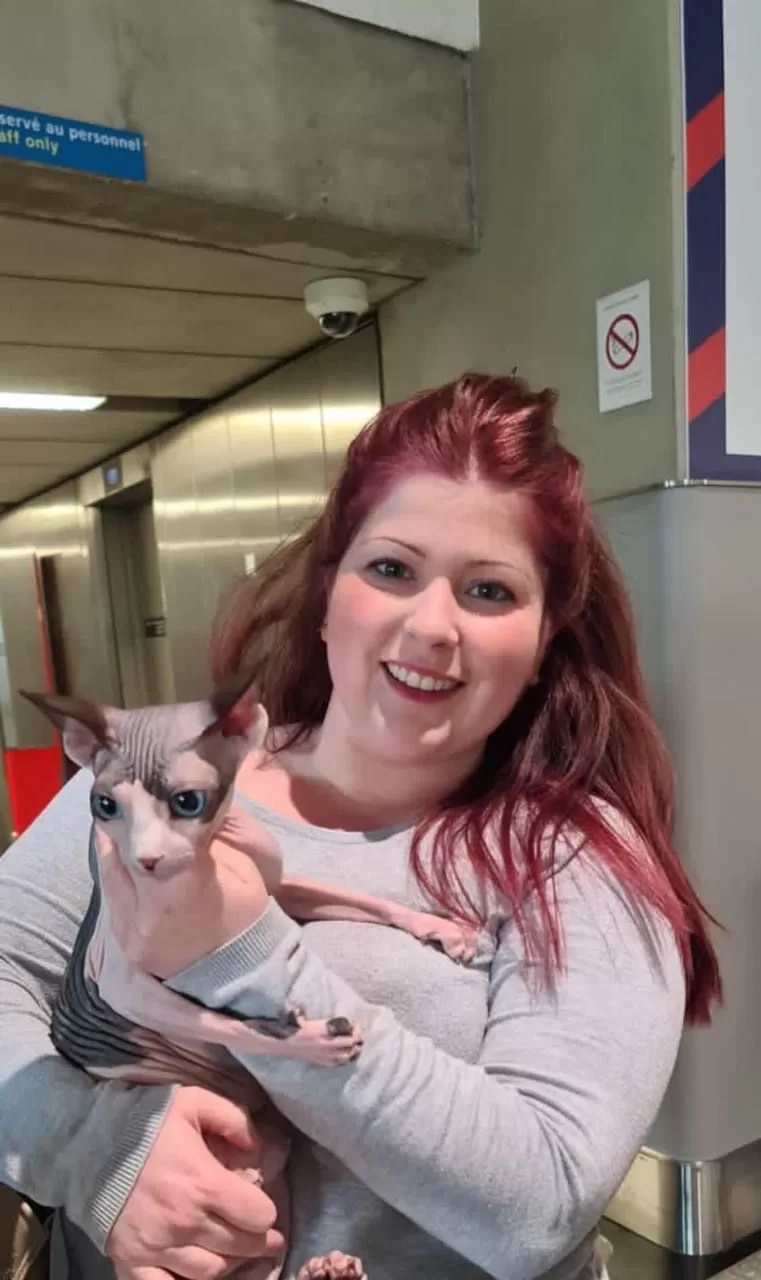 sphynx-cat-for-sale-texas